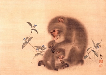 猿図 (800x566).jpg